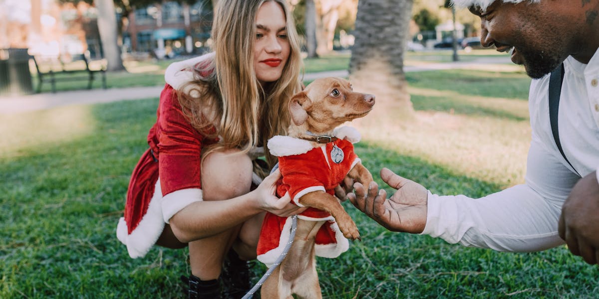 gifts for dachshund lovers