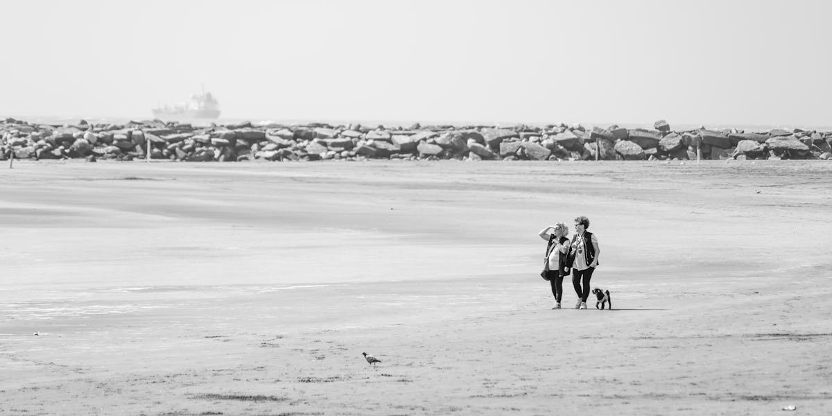 traveling with a dachshund