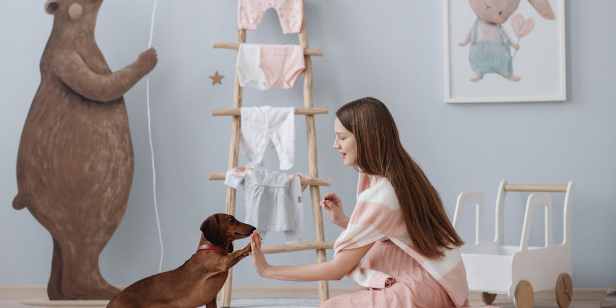 dachshund clothes