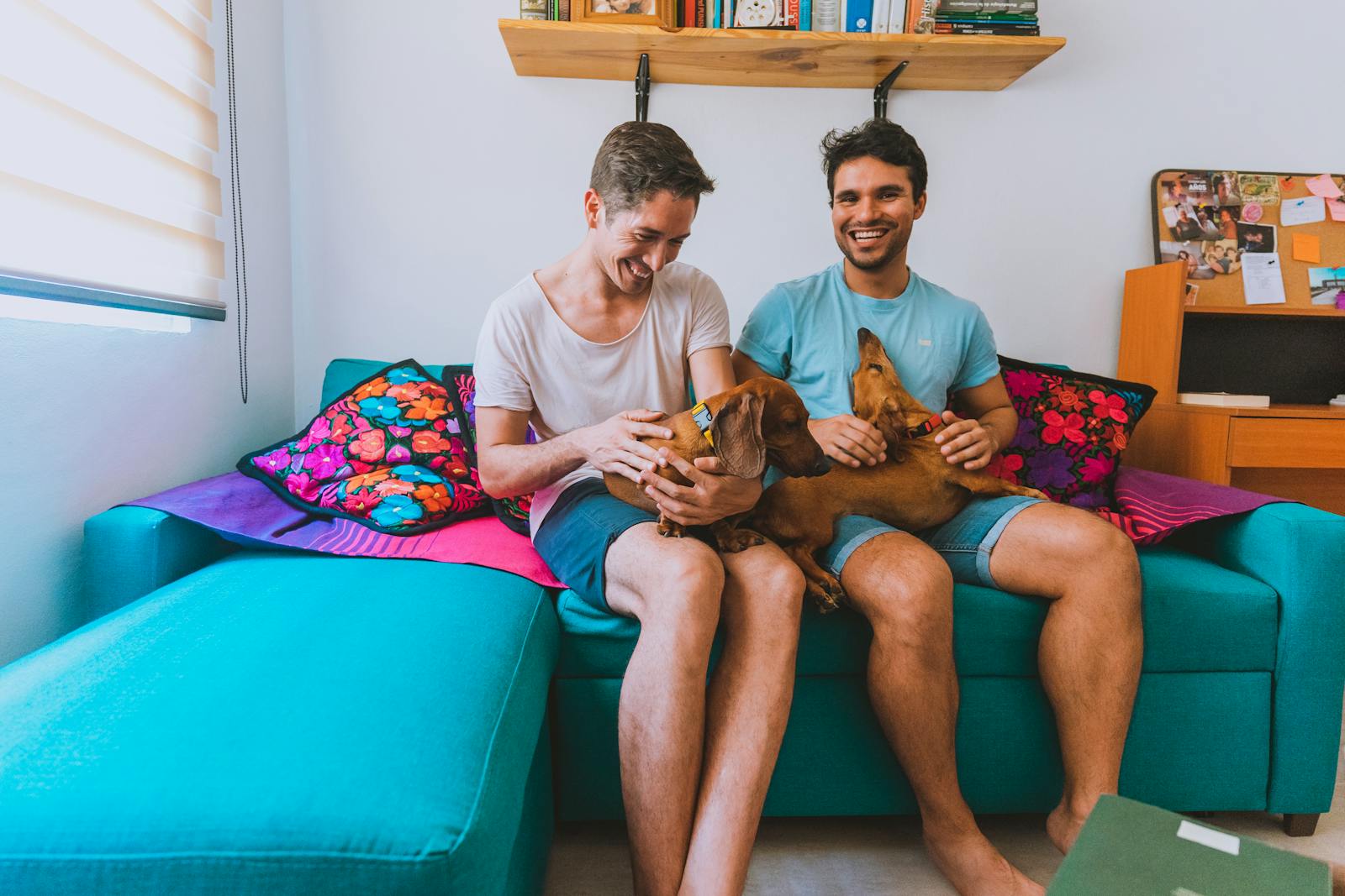 A joyful couple sitting at home on a couch playing with their dachshunds.